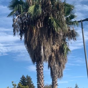 Meet your Posher, Trevor